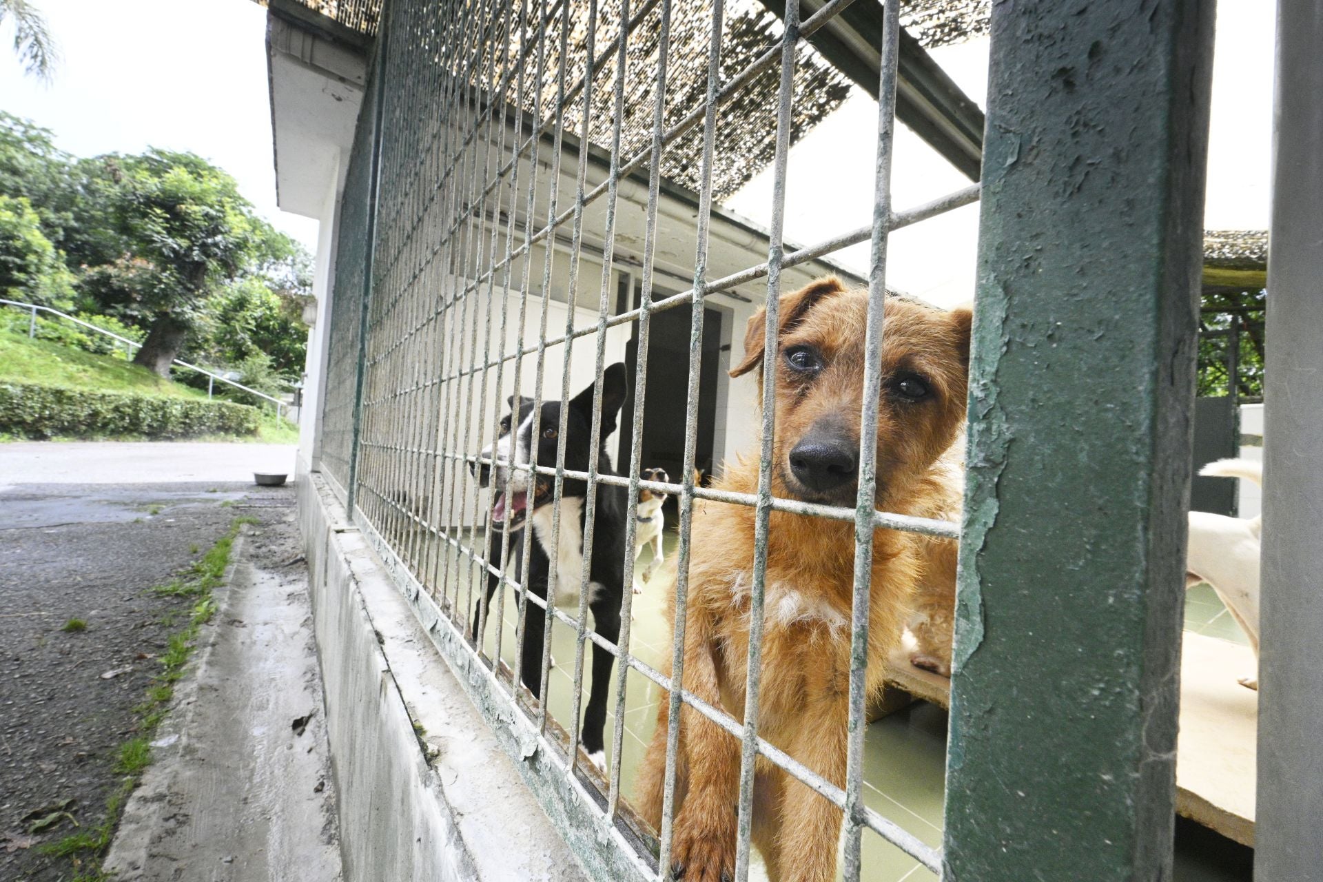 Una protectora llena de colores