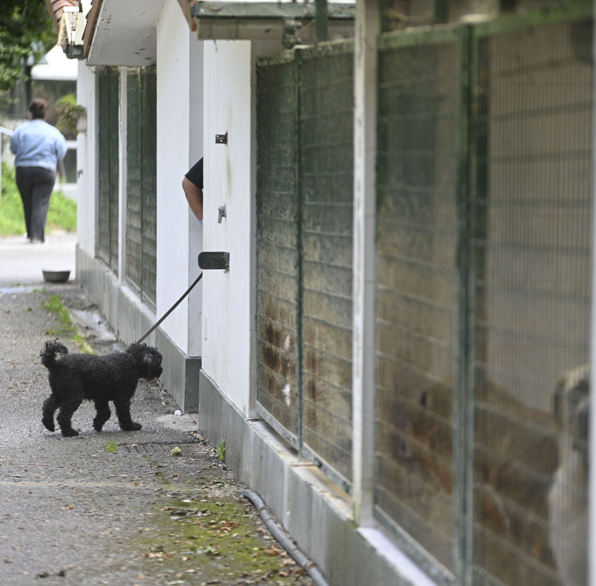 Una protectora llena de colores