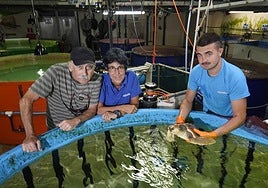 Jokin Guilisagasti, Arantza Garmendia y Víctor Álvarez Urain, que muestra una tortuga en una de las peceras en la trastienda del Aquarium.