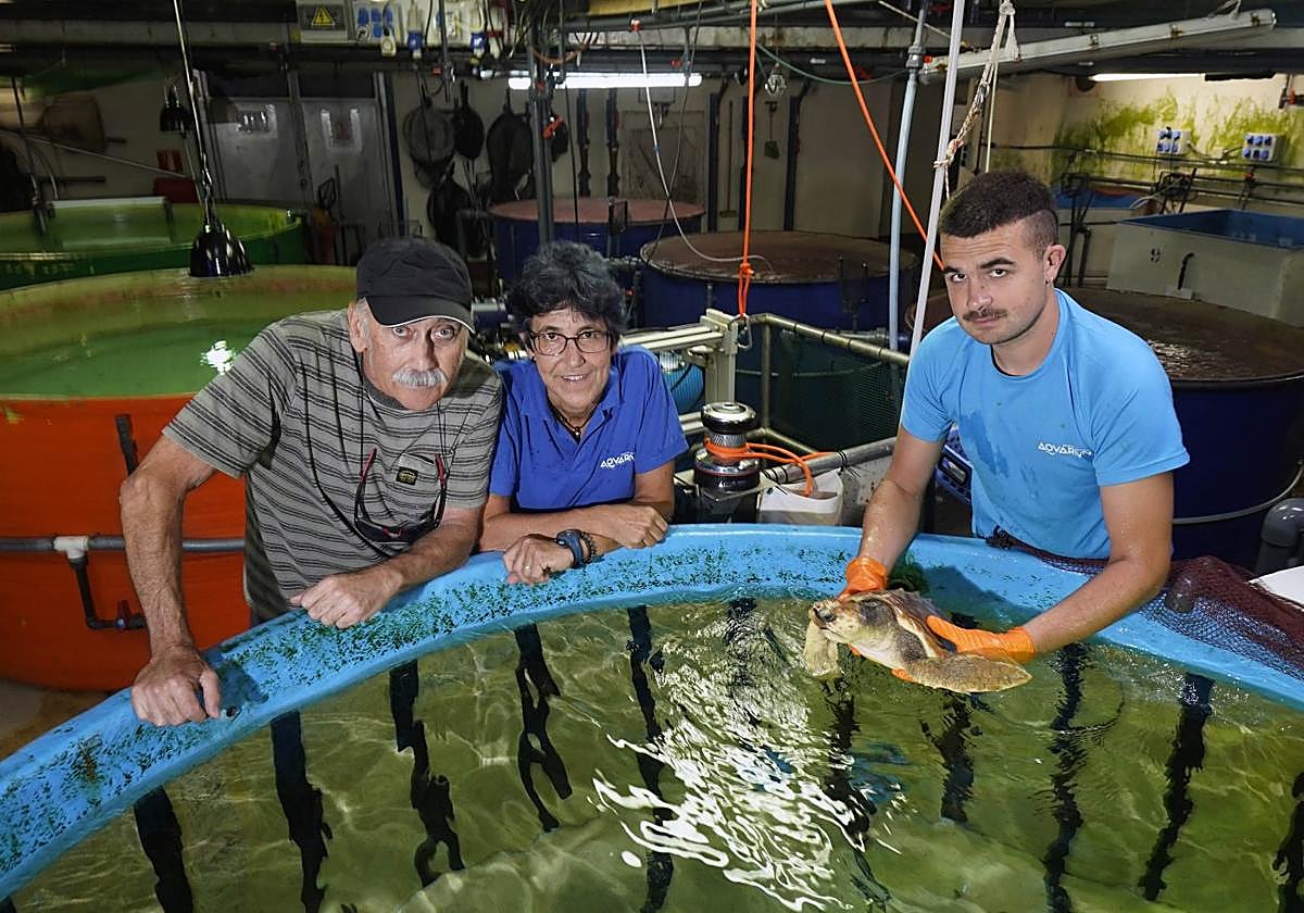 Jokin Guilisagasti, Arantza Garmendia y Víctor Álvarez Urain, que muestra una tortuga en una de las peceras en la trastienda del Aquarium.