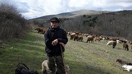 Jon Laskibar, con sus perros y un rebaño de ovejas en una zona de los Pirineos.