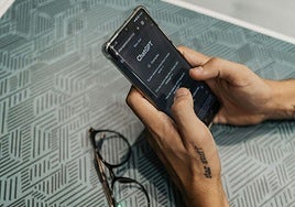 Pregunta a ChatGPT cómo reemplazar la sal de la dieta y acaba hospitalizado por bromismo