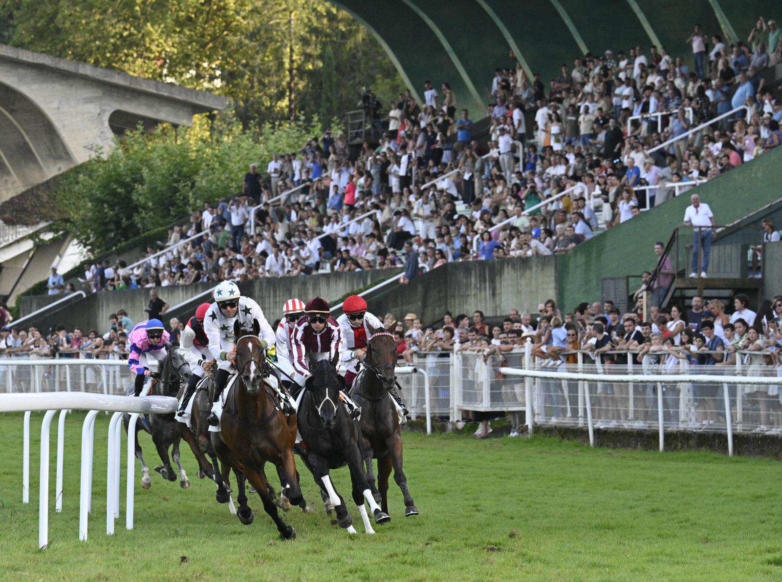 Gran jornada de carreras en el hipódromo