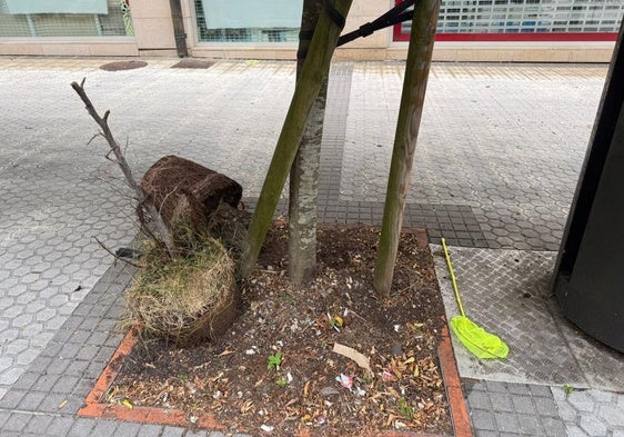 Señala Jesús Mª Pérez: «Envié una queja al Ayuntamiento denunciando la no recogida de la basura en la calle Humboldt, en Riberas. Al día siguiente la movieron del alcorque del primer árbol al del segundo. El domingo, es decir, casi un mes después, la basura seguía allí».