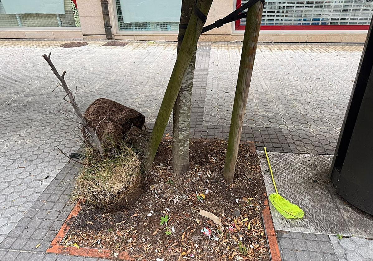 Señala Jesús Mª Pérez: «Envié una queja al Ayuntamiento denunciando la no recogida de la basura en la calle Humboldt, en Riberas. Al día siguiente la movieron del alcorque del primer árbol al del segundo. El domingo, es decir, casi un mes después, la basura seguía allí».