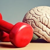 El cerebro no se va de vacaciones: los mejores consejos de los expertos para mantenerlo en forma durante el verano