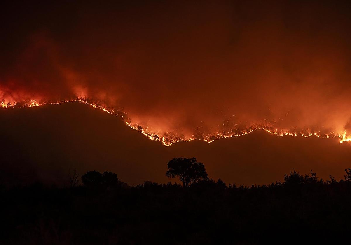 El fuego no da tregua en León, Zamora, Orense y Cáceres.