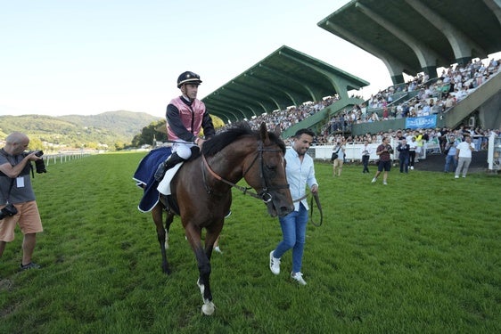 'Media Storm' fue el ganador de la Copa de Oro del año pasado.