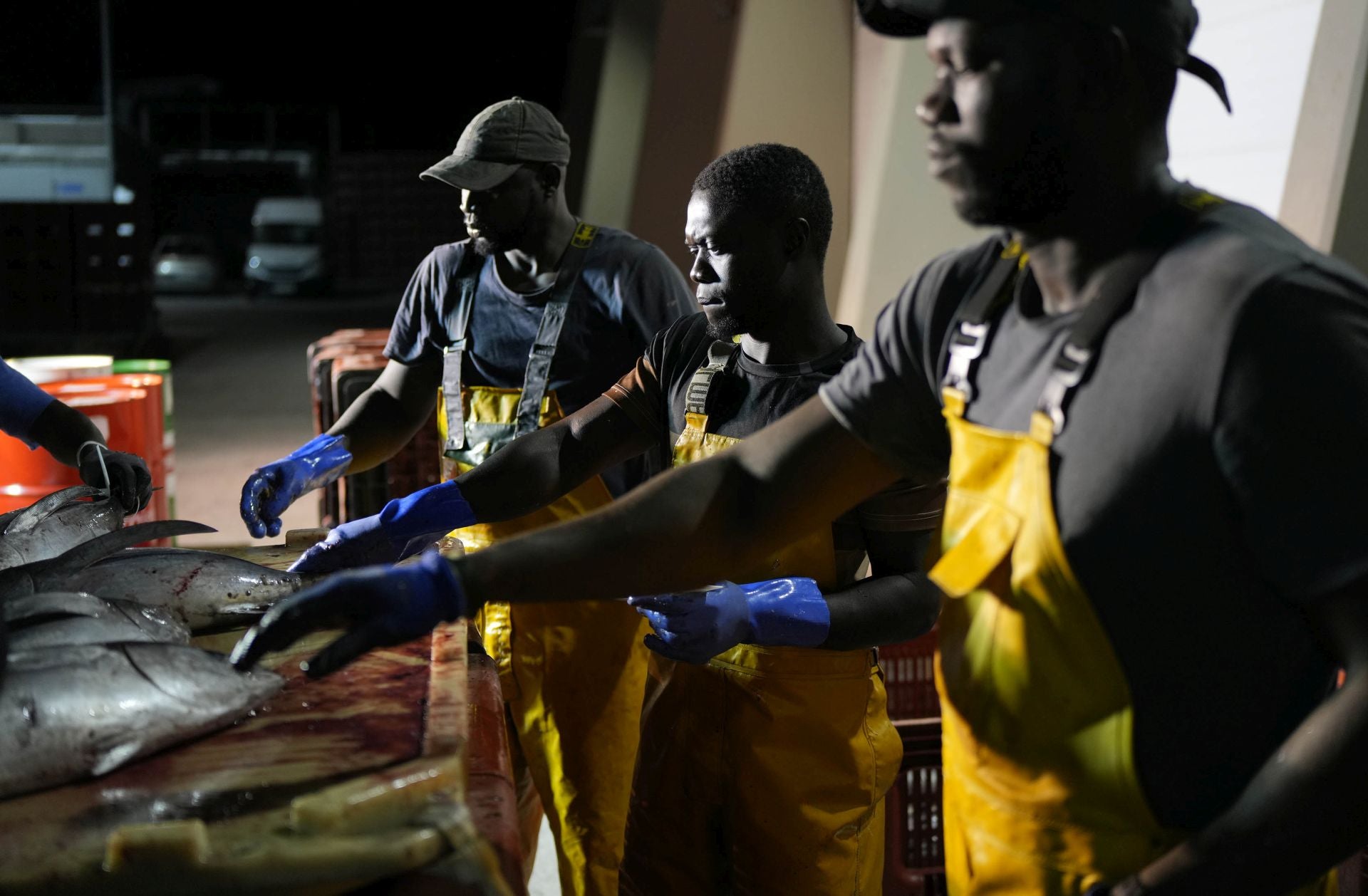 Arrantzales africanos en un puerto de Gipuzkoa.