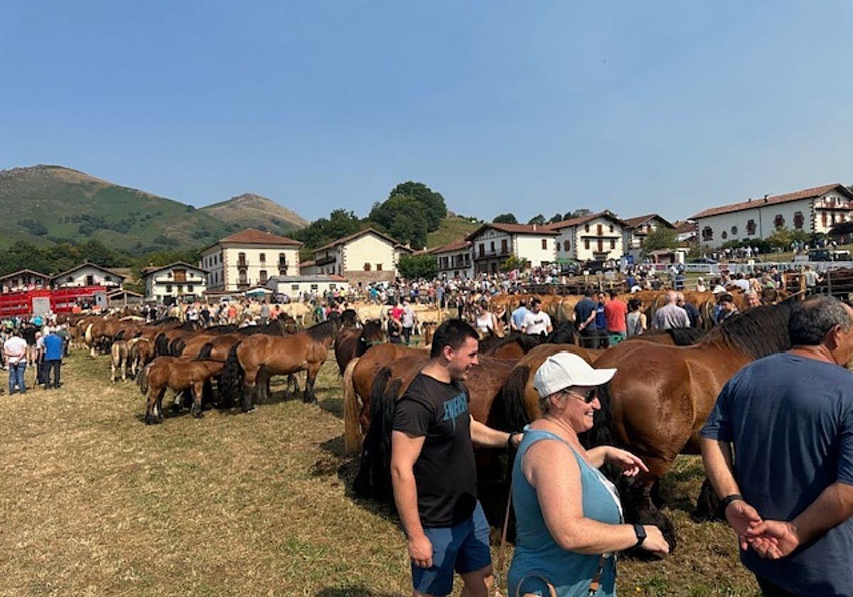 Celebración del Artzain Eguna 2025 en Amaiur.