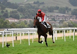 El jockey de 'See the Dream', Alejandro Gutiérrez, celebra el triunfo tras pasar el espejo de meta.