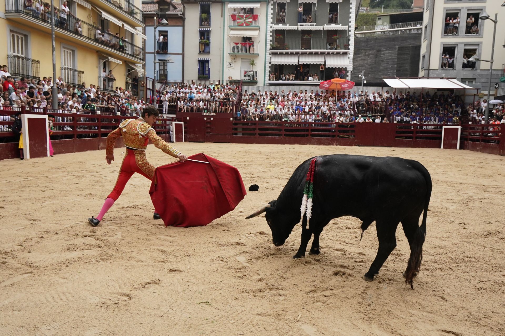 Novillada en el último día de San Roke