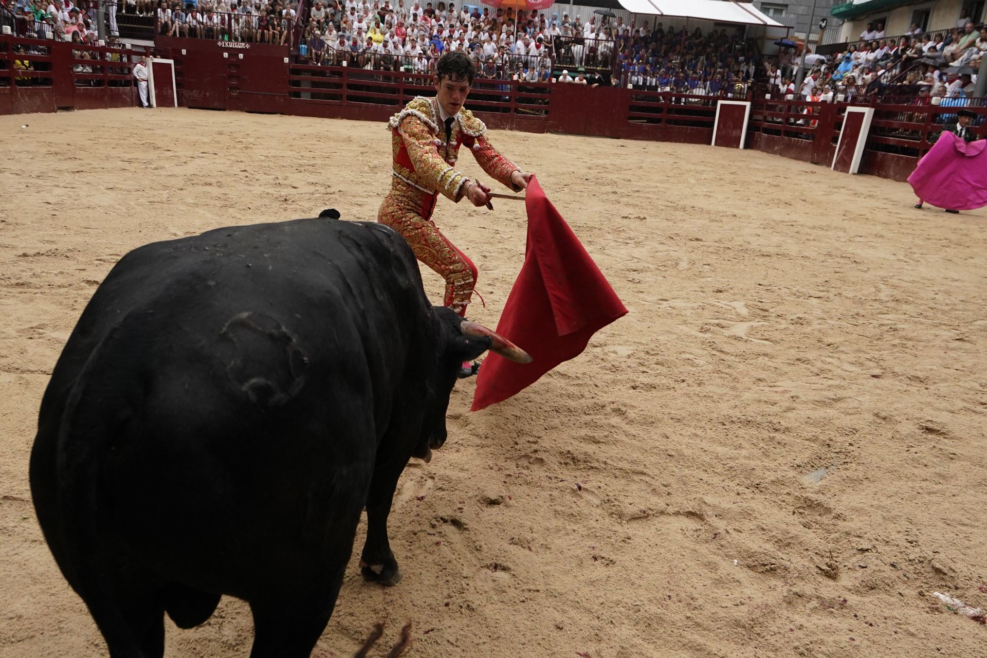 Novillada en el último día de San Roke