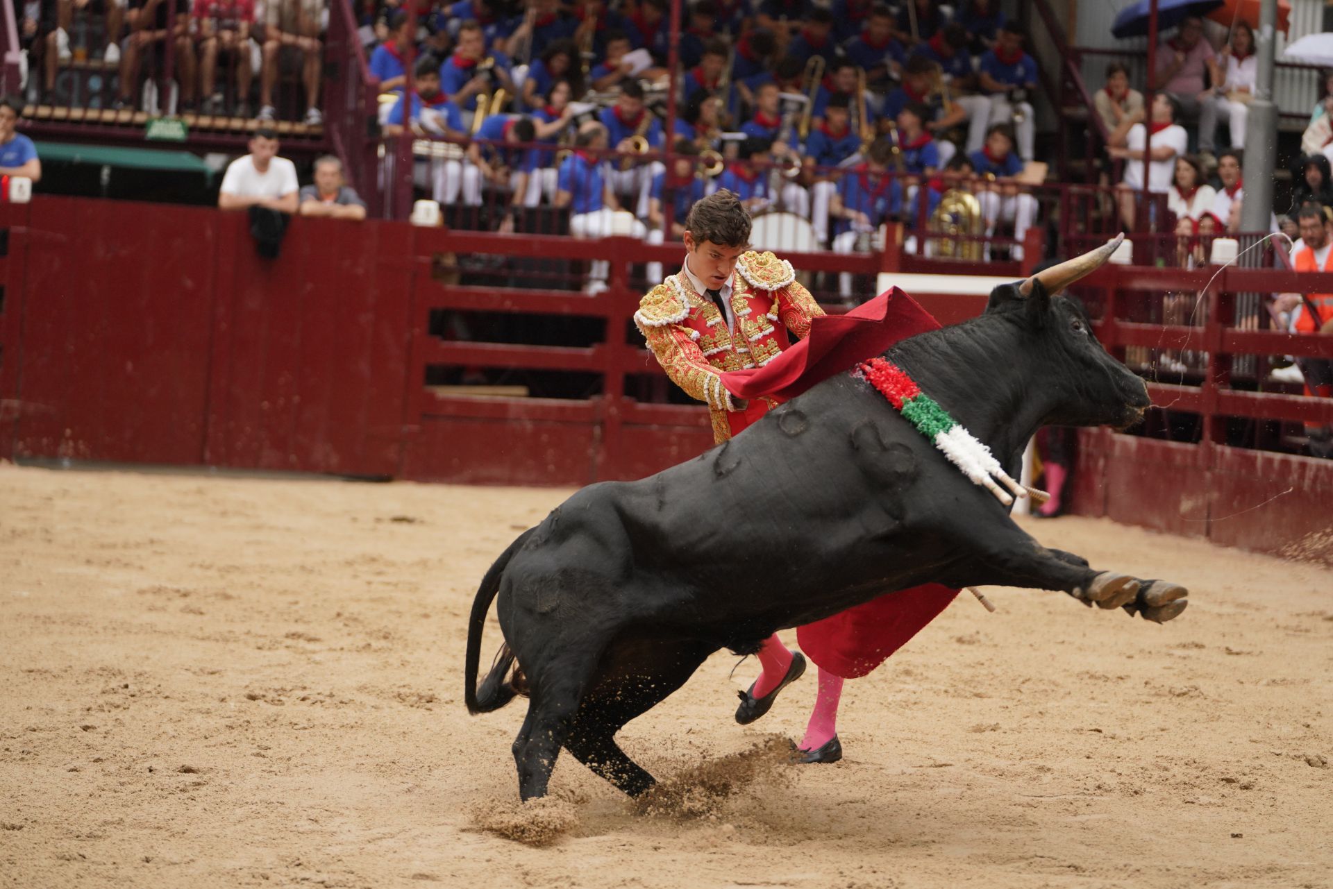 Novillada en el último día de San Roke
