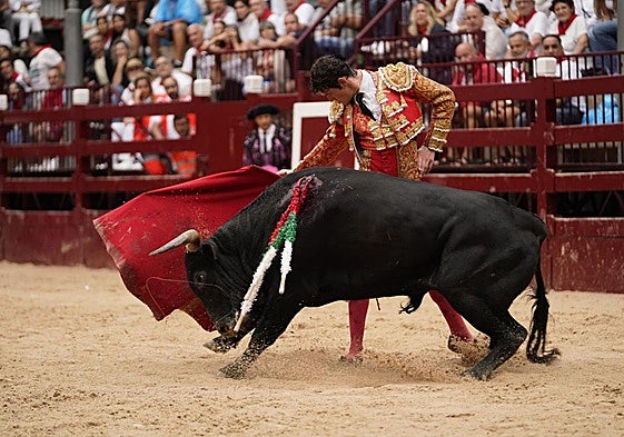 Novillada en el último día de San Roke