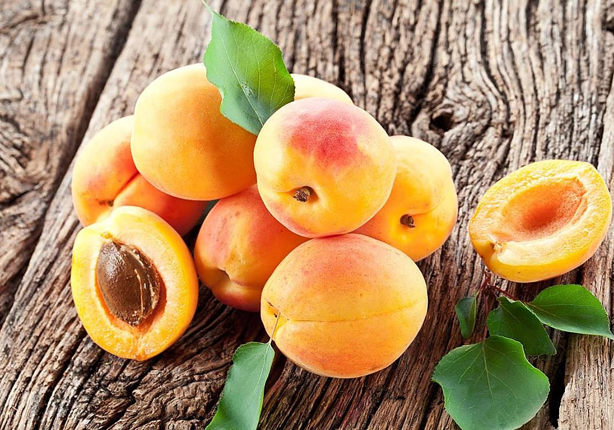 Como fruto climatérico, el albaricoque continúa madurando tras la recolección, lo que le otorga una vida relativamente corta.