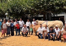 Eizmendi baserriak irabazi du Gipuzkoako XIII. Blonda Txapelketa.