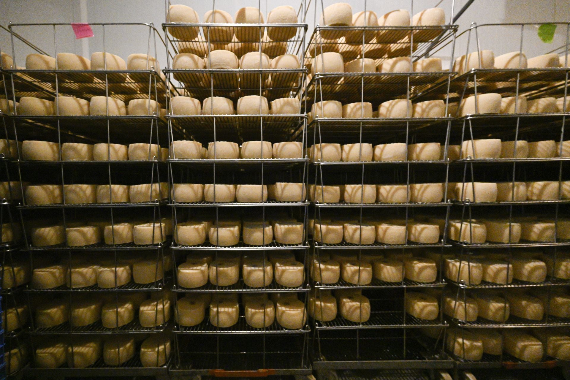 Visita a la quesería Ondramuño en Idiazabal