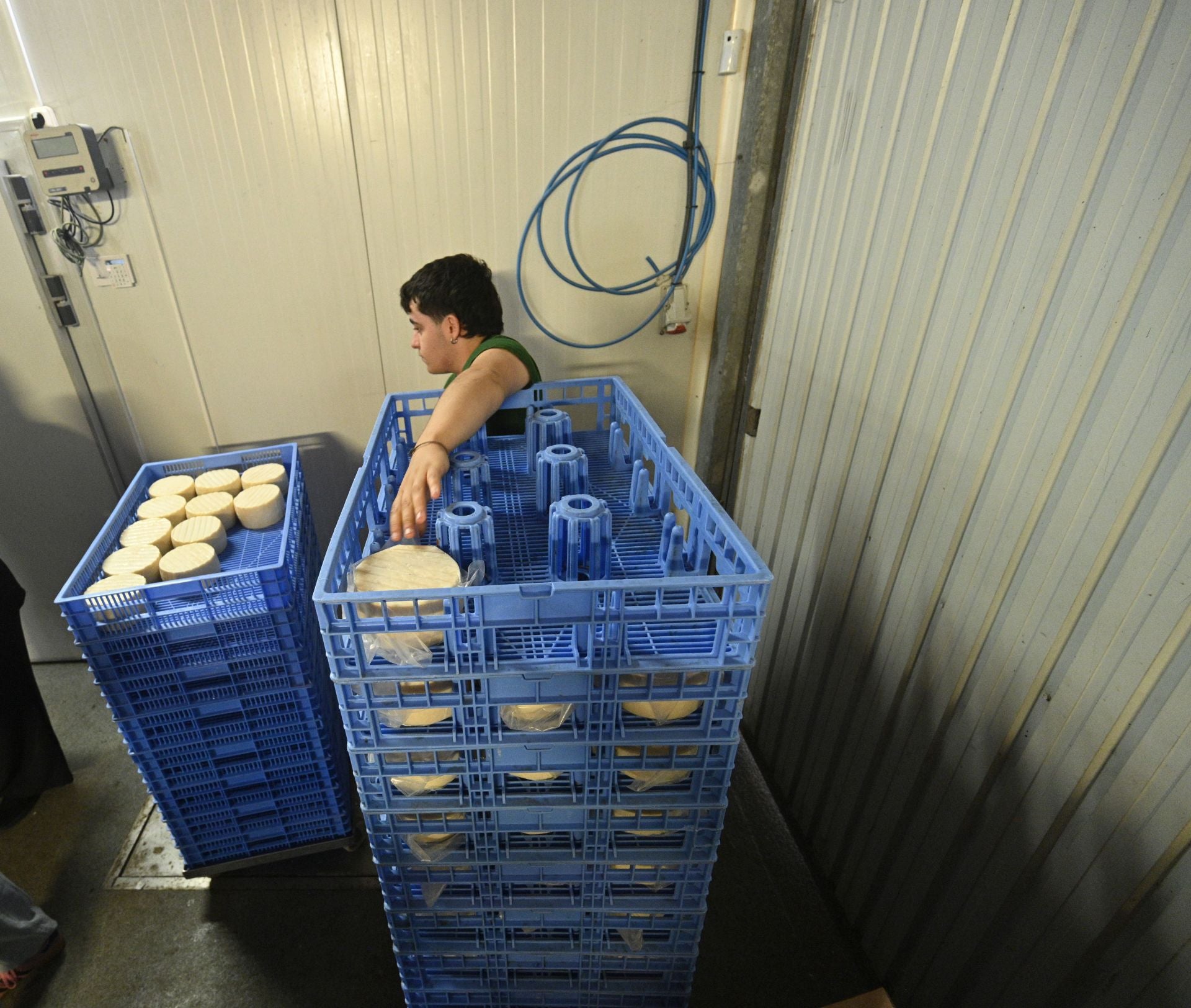 Visita a la quesería Ondramuño en Idiazabal