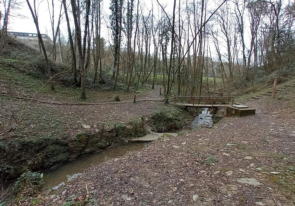 Una de las regatas en las que el Ayuntamiento intervendrá en el bosque de Miramon.