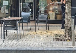 Parte de los cascotes caídos a la altura del número 6 de la calle Matía.