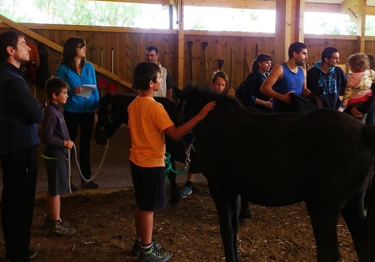 Imagen de una de las pasadas sesiones.