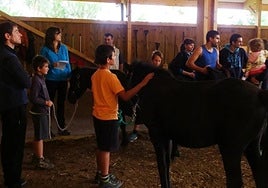 Euskal zaldi zaharrenekin topaketa paregabea Arantzazun