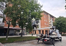 Imagen del servicio de jardinería trabajando estos días en los árboles de Zuberoa Kalea.