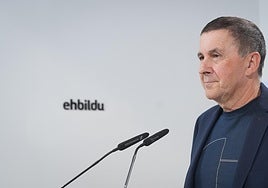 El secretario general de EH Bildu, Arnaldo Otegi, en una rueda de prensa.