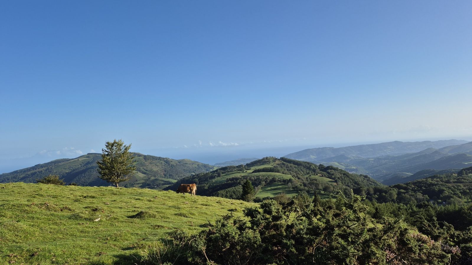 Hernio, panorámica perfecta de los montes de Gipuzkoa