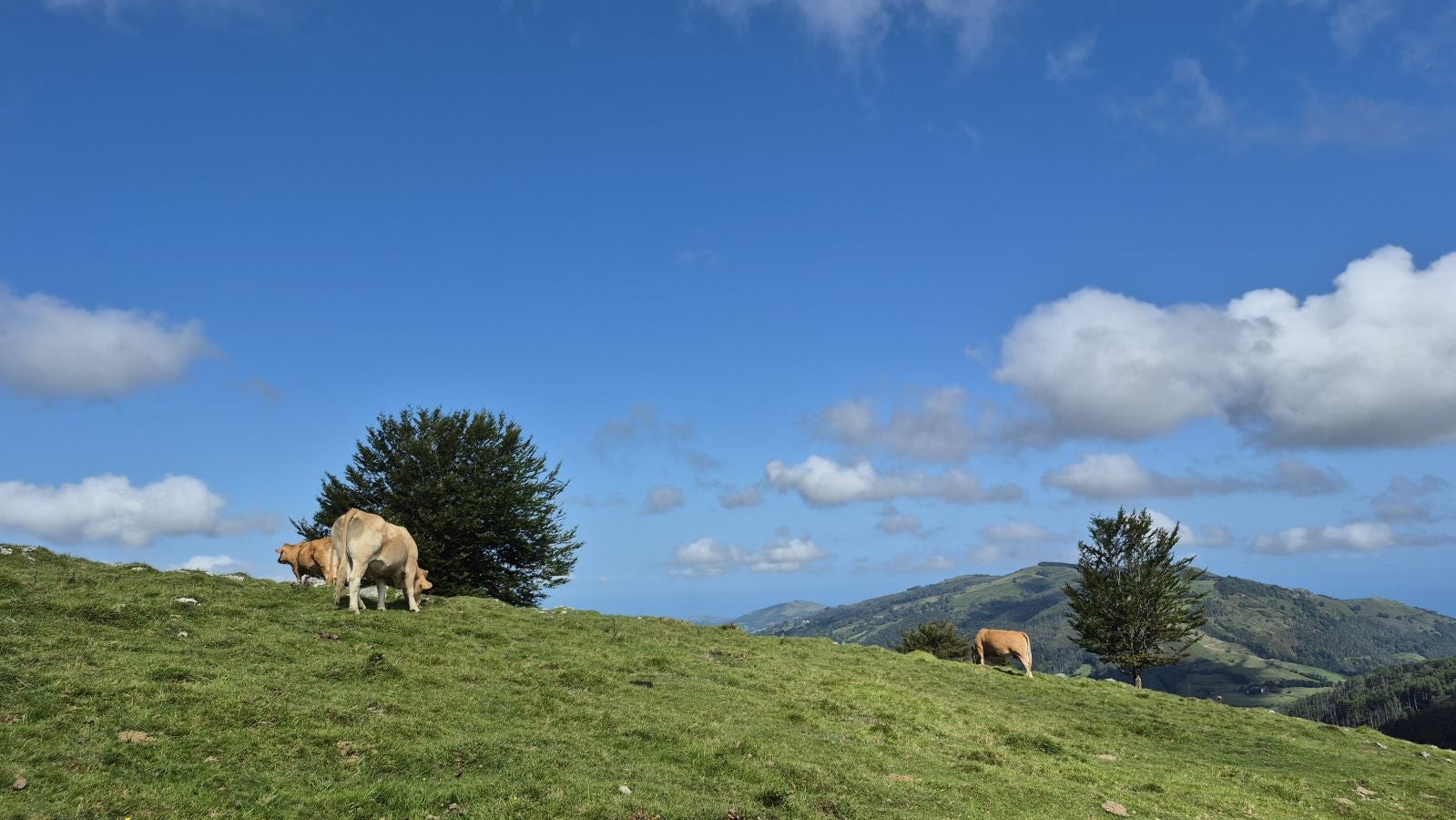 Hernio, panorámica perfecta de los montes de Gipuzkoa