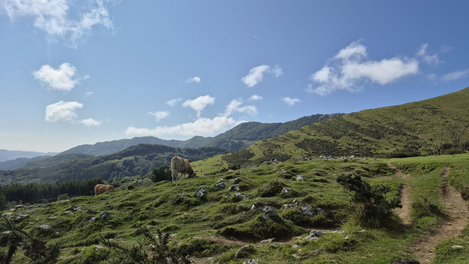 Hernio, panorámica perfecta de los montes de Gipuzkoa