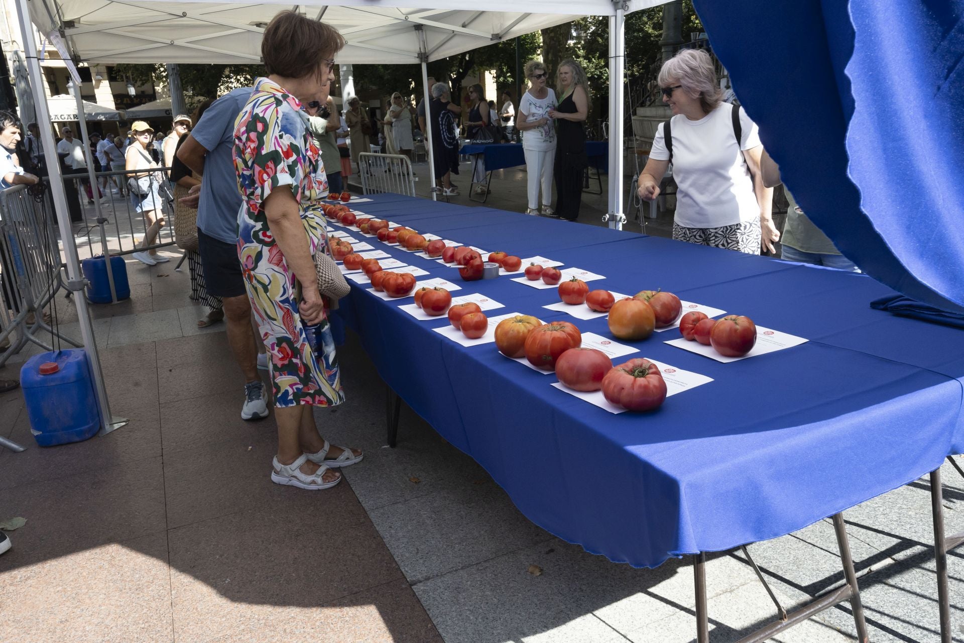 Sagardoa eta tomateak, Euskal Jaietako protagonistak
