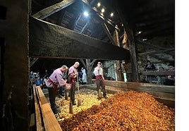 Dolarea martxan eta sagarraren prentsaketa zuzenean ikusi ahal izango da Igartubeitin.