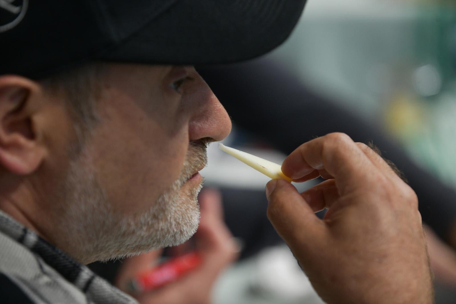 Ordizia, templo del queso