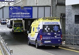 Una ambulancia accede a las Urgencias del Hospital Donostia.