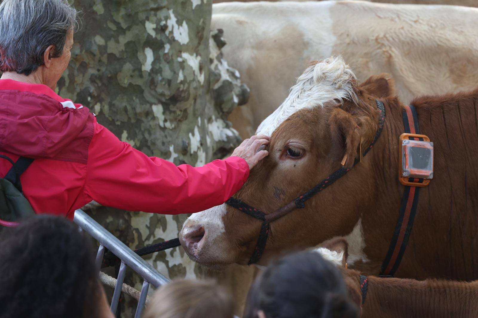 Gran ambiente en el Baserritar Eguna de Hondarribia