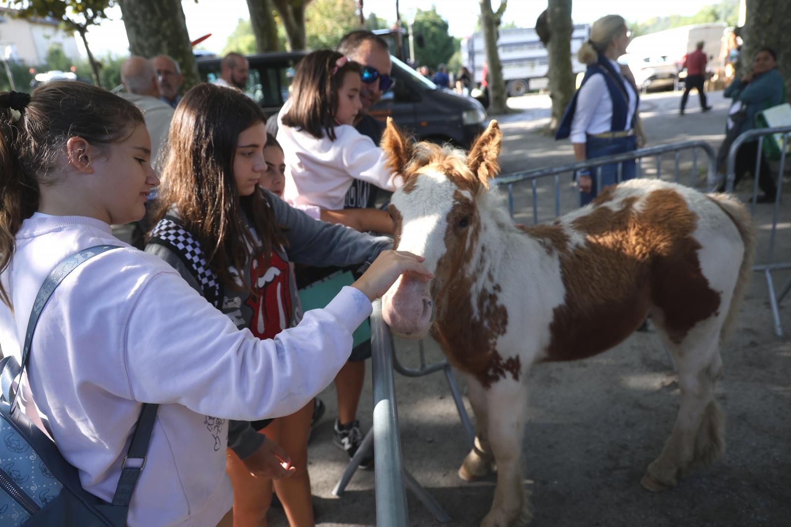 Gran ambiente en el Baserritar Eguna de Hondarribia