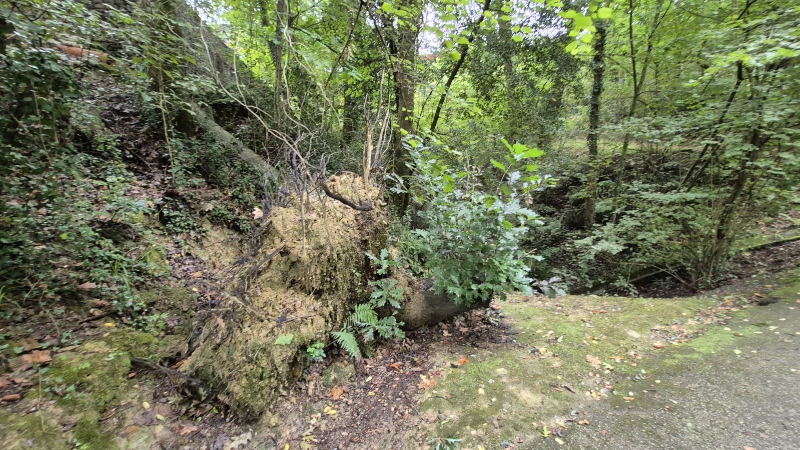 Un paseo de tres horas por Oriamendi