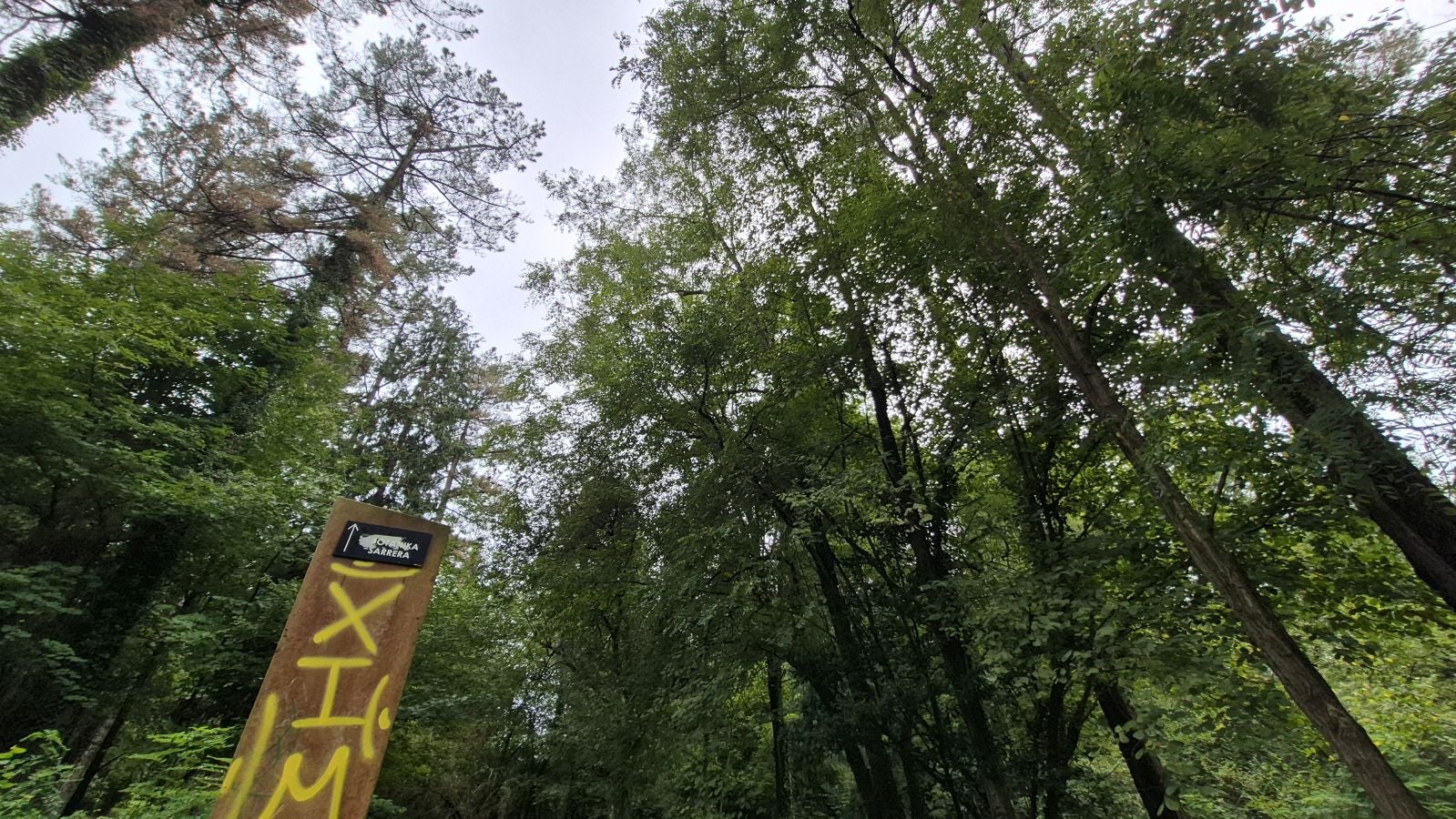 Un paseo de tres horas por Oriamendi