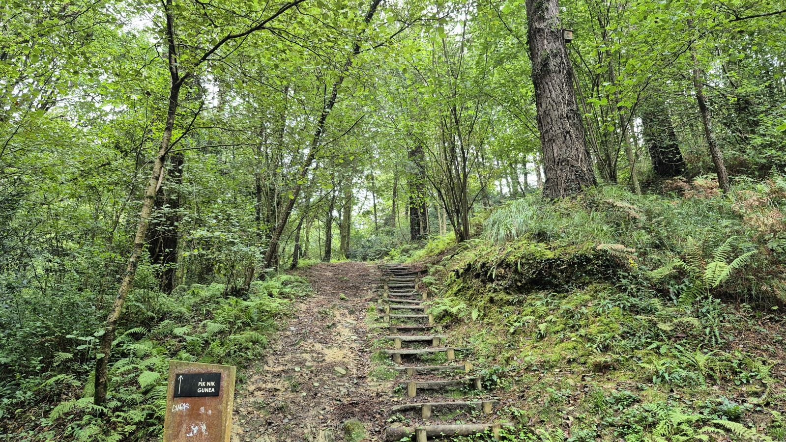 Un paseo de tres horas por Oriamendi