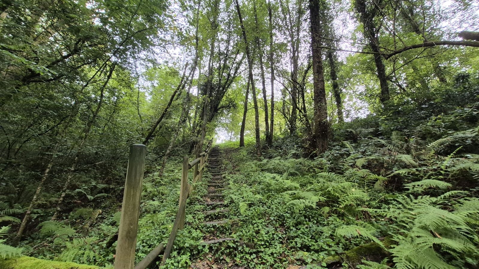 Un paseo de tres horas por Oriamendi