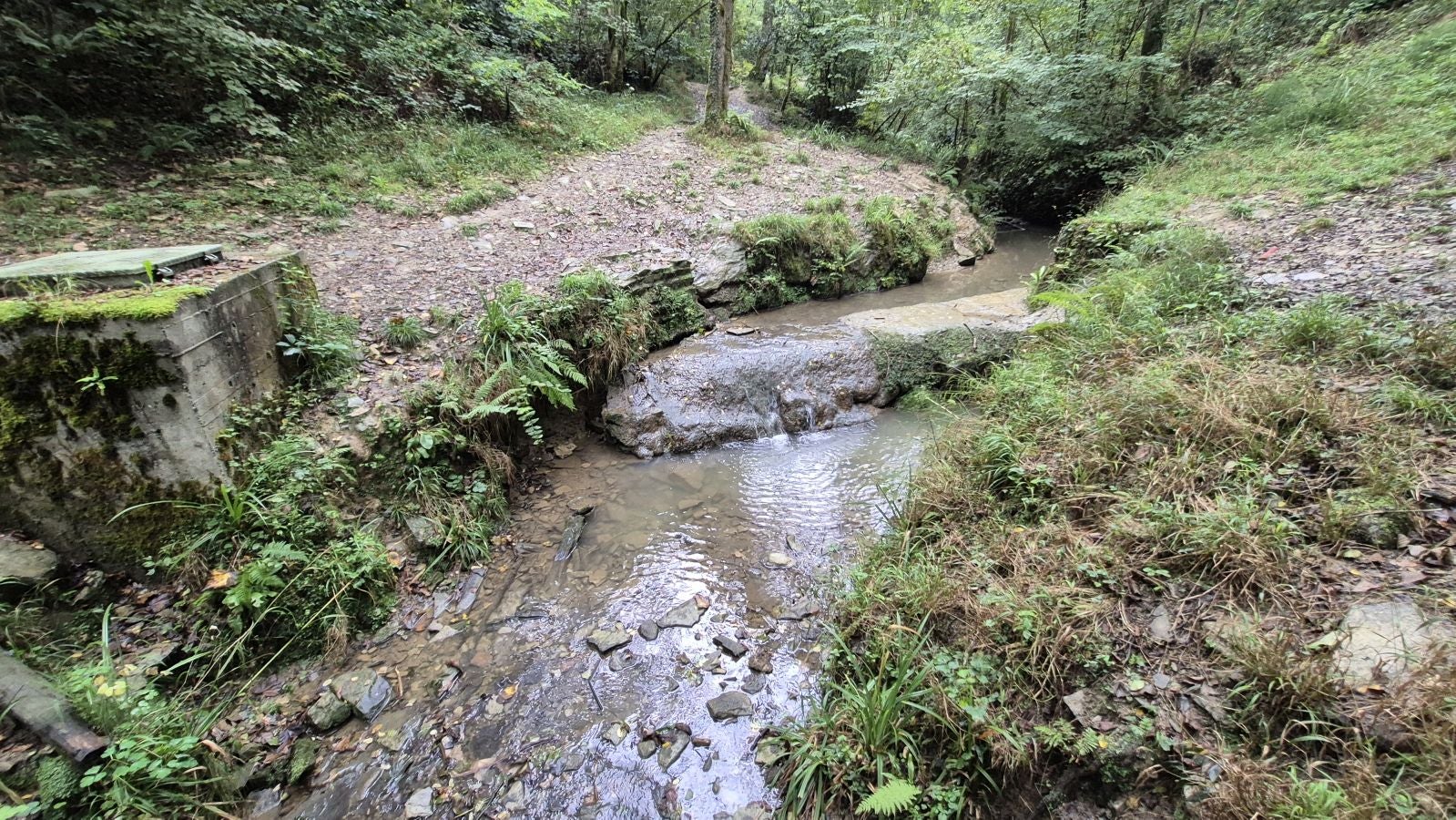 Un paseo de tres horas por Oriamendi