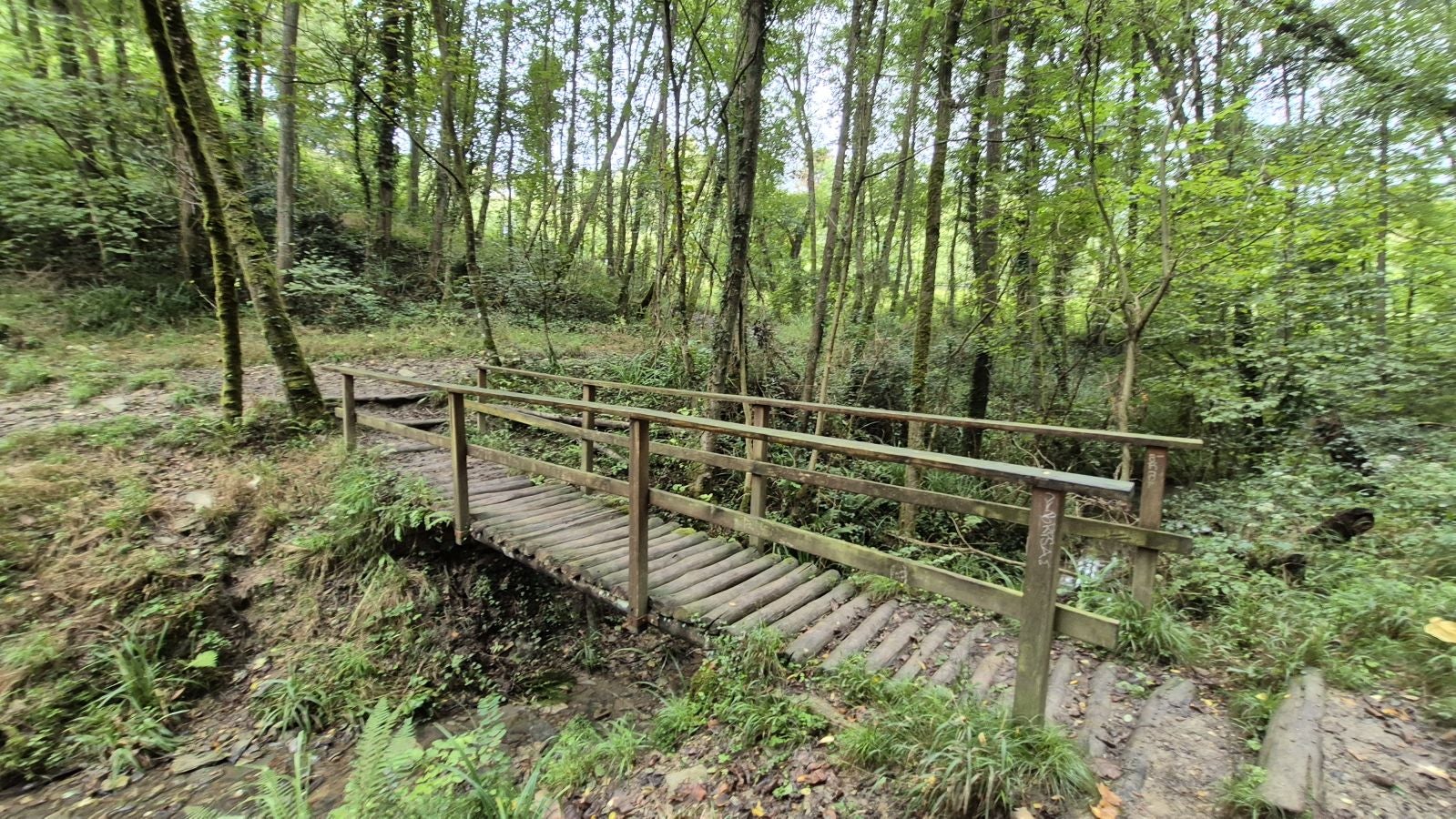 Un paseo de tres horas por Oriamendi