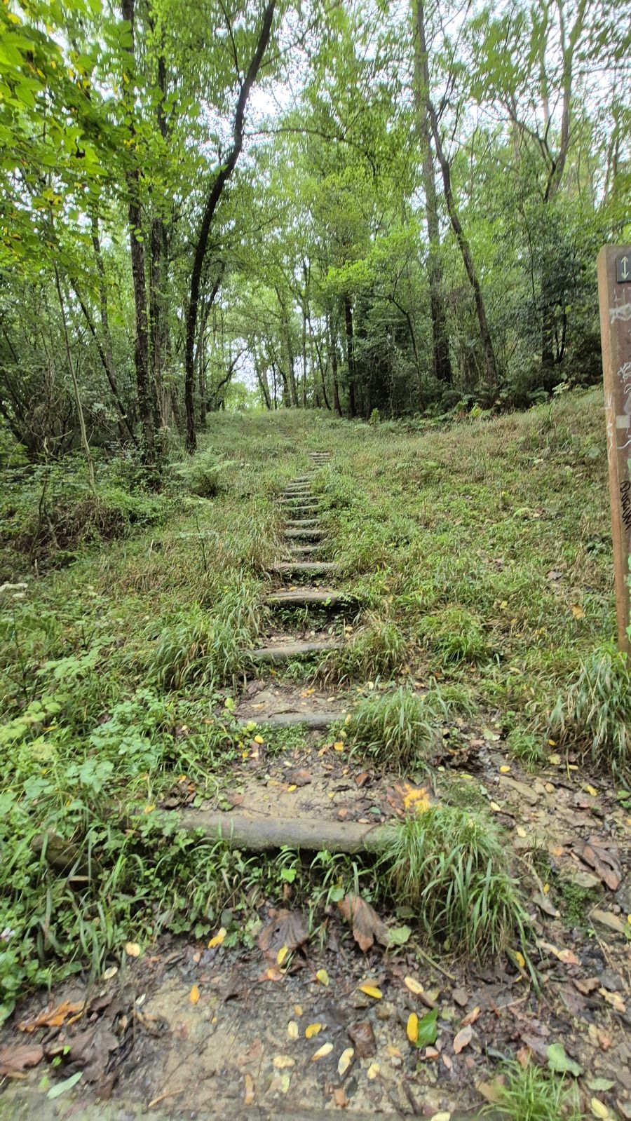 Un paseo de tres horas por Oriamendi