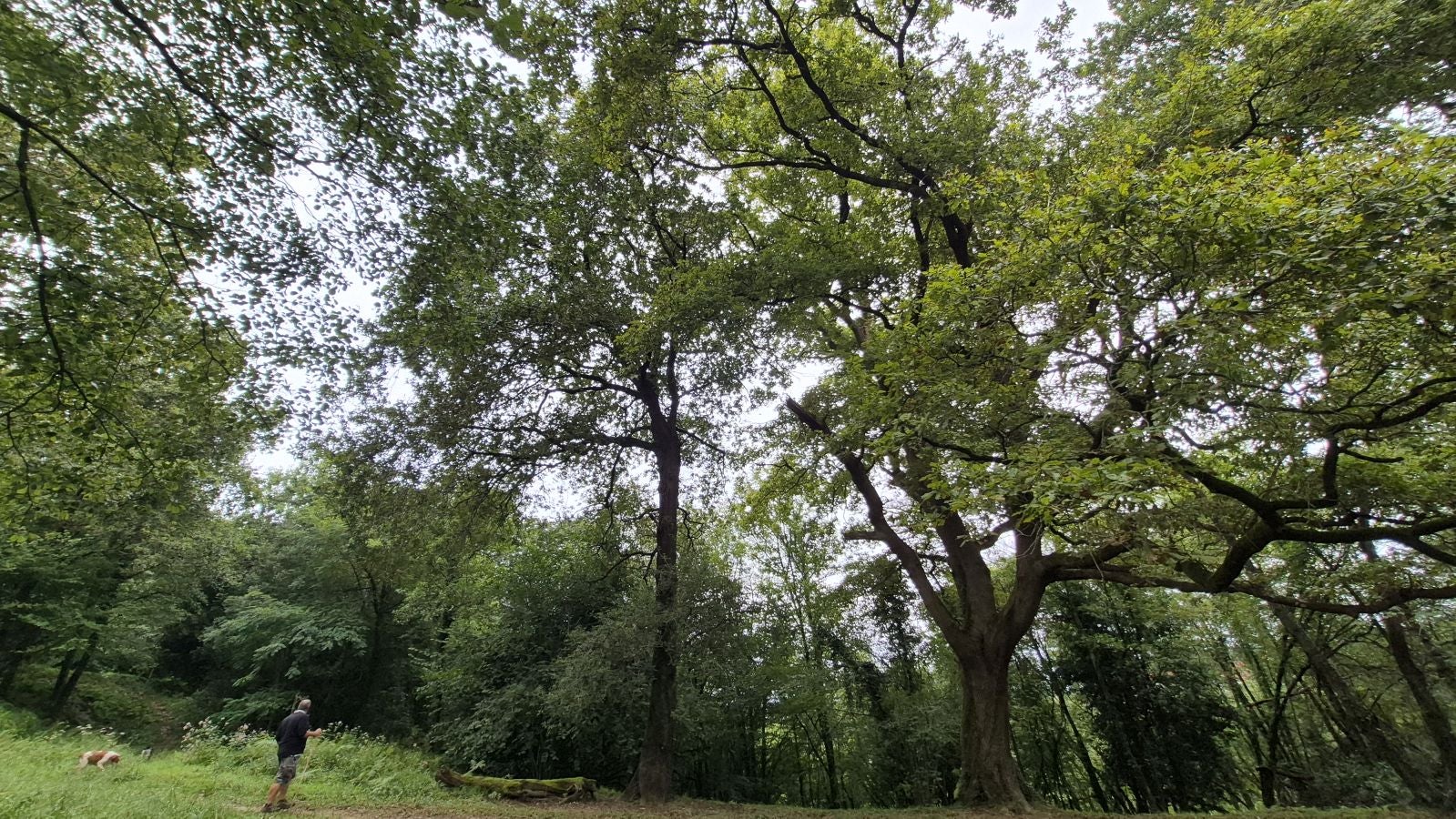Un paseo de tres horas por Oriamendi