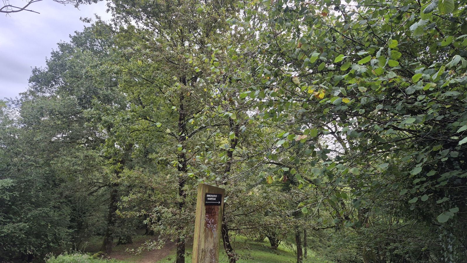 Un paseo de tres horas por Oriamendi