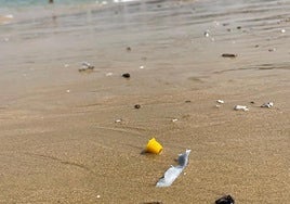 Denuncia Rubén: «El Ayuntamiento vertió 20 kilos de plásticos al mar cada noche de fuegos artificiales la pasada Semana Grande que acabaron en nuestras playas o en la tripa de los peces. La solución pasa por exigir el uso de material biodegradable, exigir que el consistorio limpie de residuos el mar y las playas o que pague la multa por ensuciar el mar».