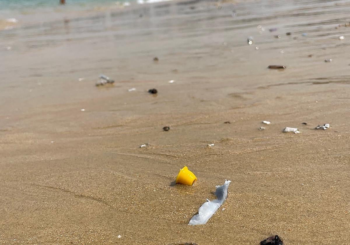 Denuncia Rubén: «El Ayuntamiento vertió 20 kilos de plásticos al mar cada noche de fuegos artificiales la pasada Semana Grande que acabaron en nuestras playas o en la tripa de los peces. La solución pasa por exigir el uso de material biodegradable, exigir que el consistorio limpie de residuos el mar y las playas o que pague la multa por ensuciar el mar».