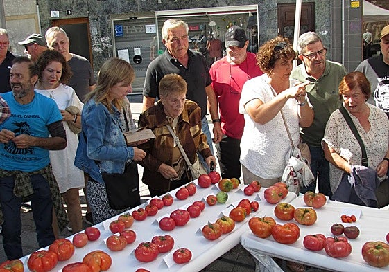 Exposición divulgativa de 40 de las 64 variedades de tomate de Euskal Herria que hasta ahora tiene identificadas el proyecto Haziera.